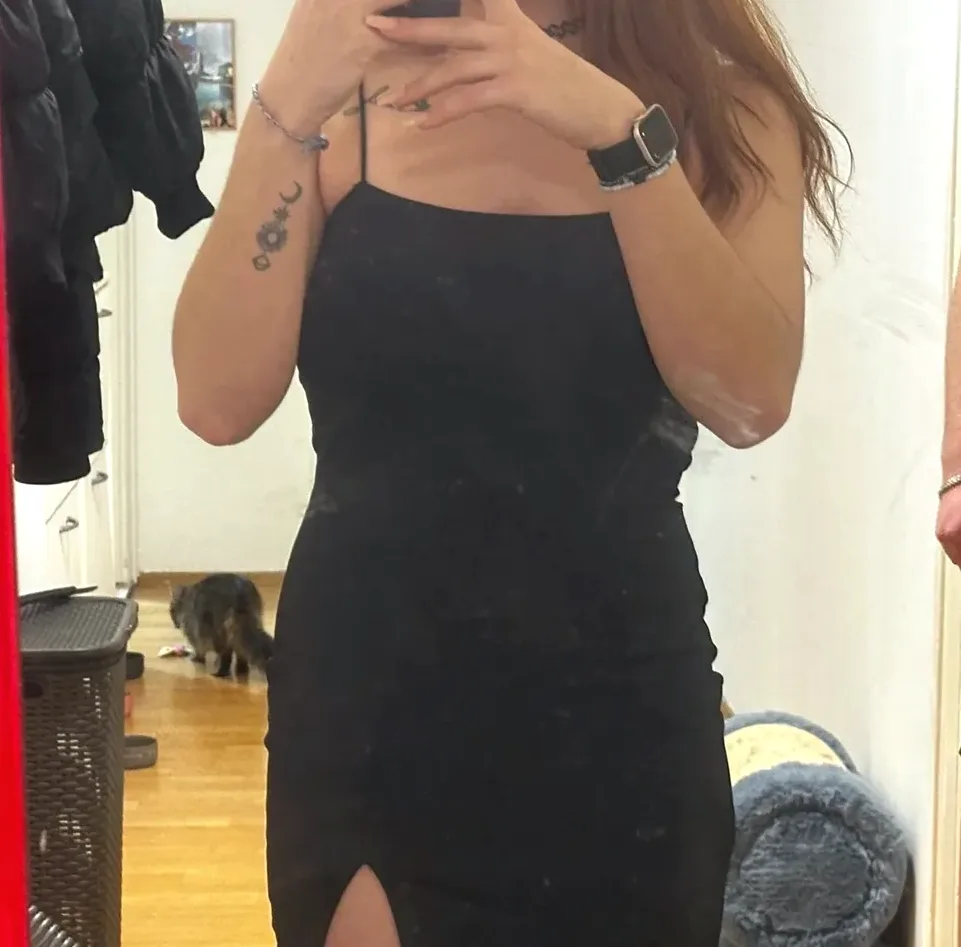 Feline, 24